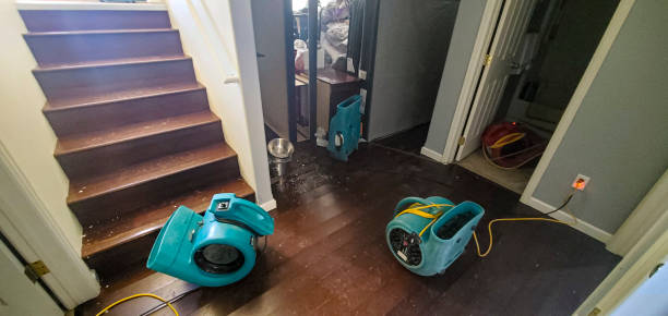Best Commercial water damage restoration  in Clearfield, UT