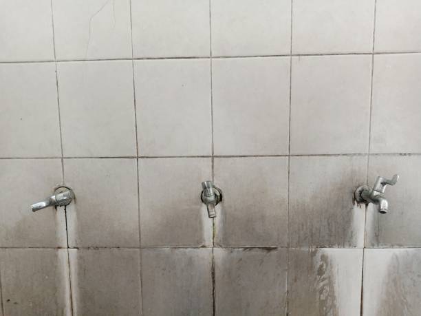 Best Water damage cleanup near me  in Clearfield, UT